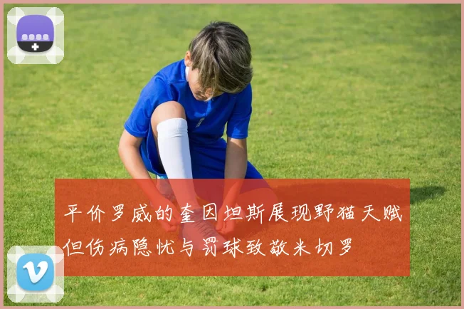 平价罗威的奎因坦斯展现野猫天赋但伤病隐忧与罚球致敬米切罗